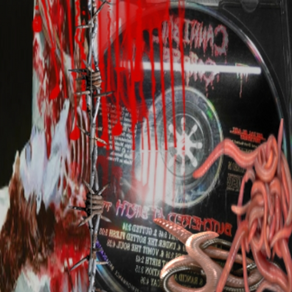 maggots inside my body