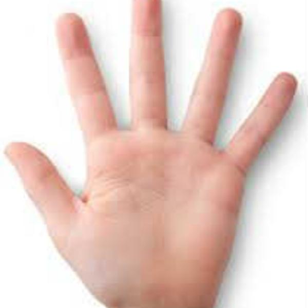 Hands