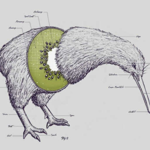 Happy Kiwi