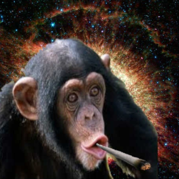 Happy Monkey