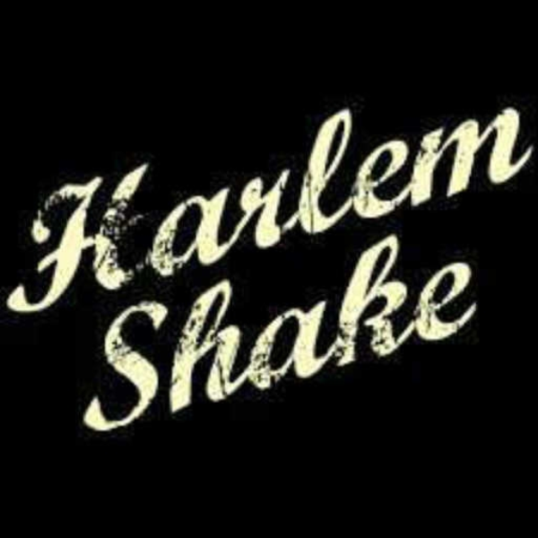 Harlem Shake (DIRTYDUB'S WHO'S A NAUGHTY BOY REMIX)
