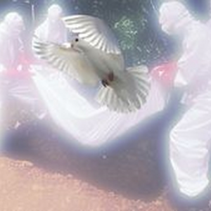 ⋆⁺₊⋆ ☀︎ ⋆⁺₊⋆