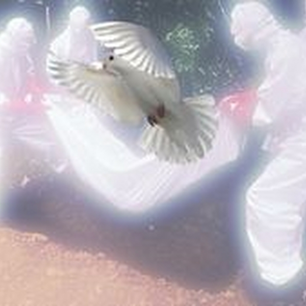 ⋆⁺₊⋆ ☀︎ ⋆⁺₊⋆