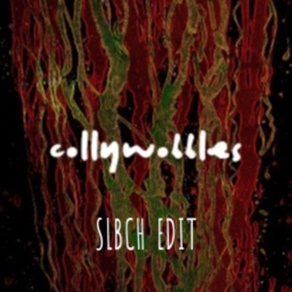 COLLYWOBBLES (SLBCH EDIT)