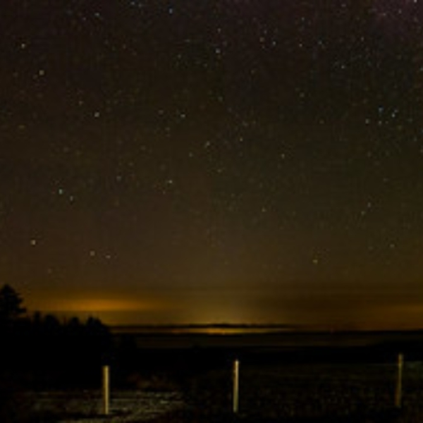 Silent Night