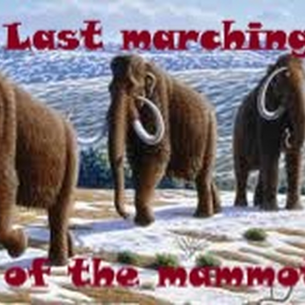Last marching of the mammot
