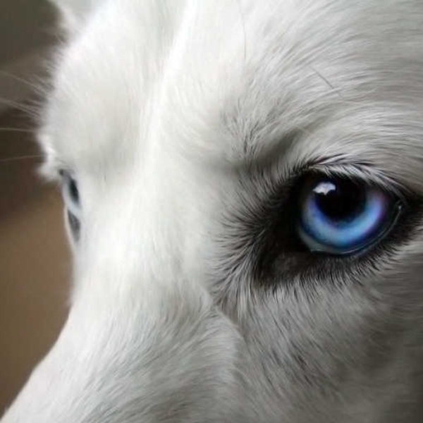 Her eyes