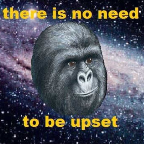 Hey that zerdudeguy is pretty cool and inspiring