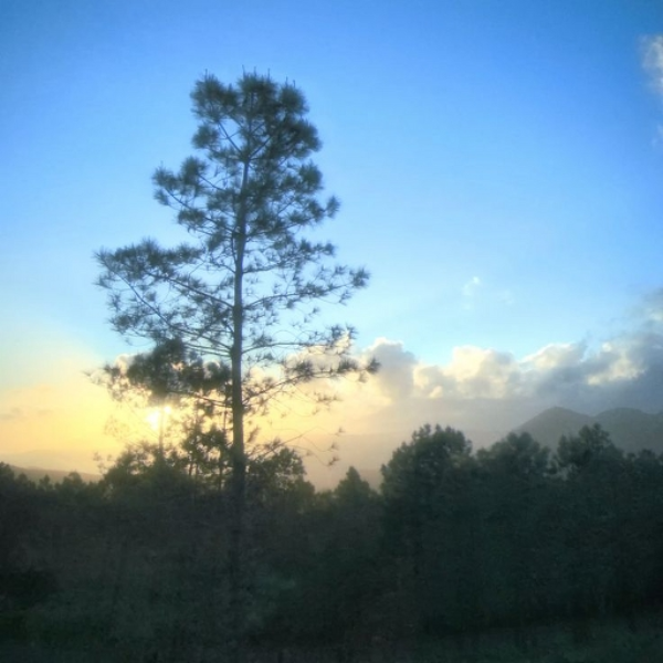 #nature