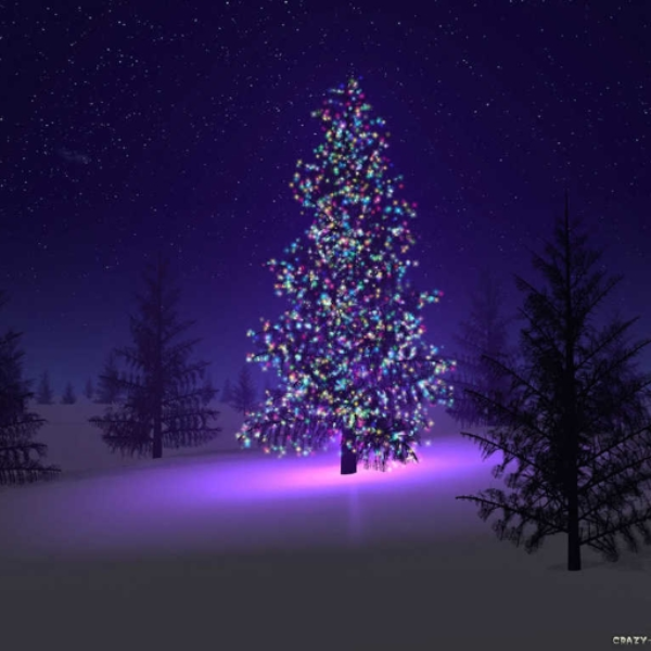 Hidden Magic Tree