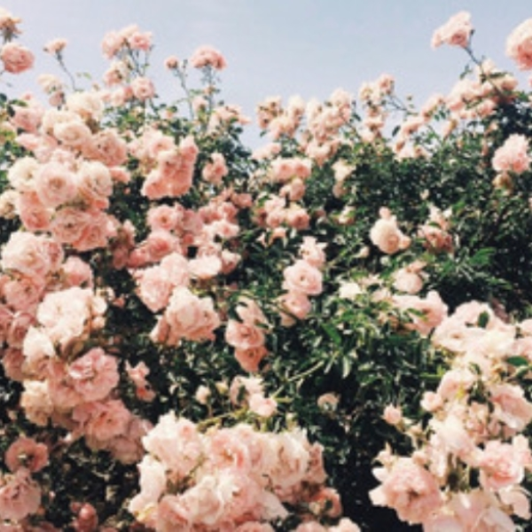 drift away with me