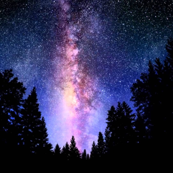 Starlight.
