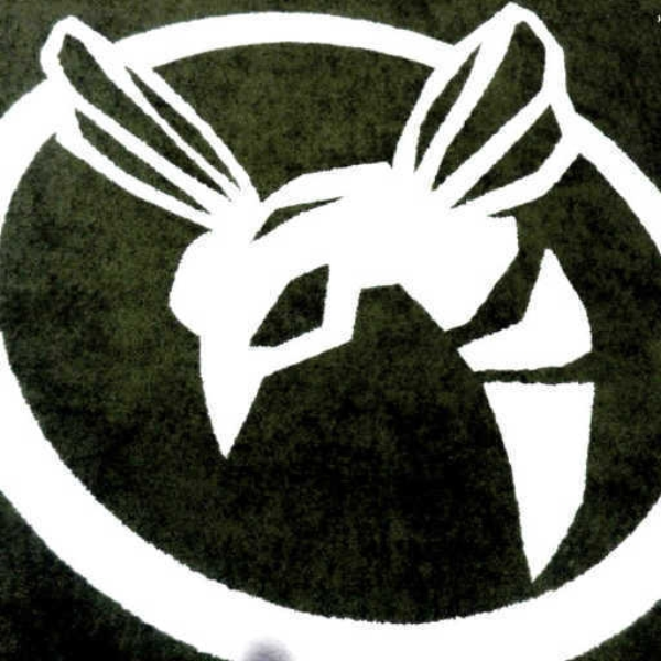 Hornet's Nest(Crossfire-Madness remix)
