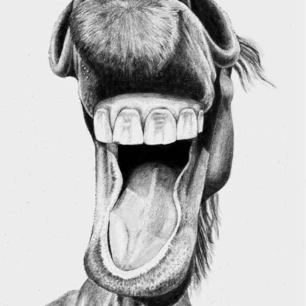 Horse Mouth