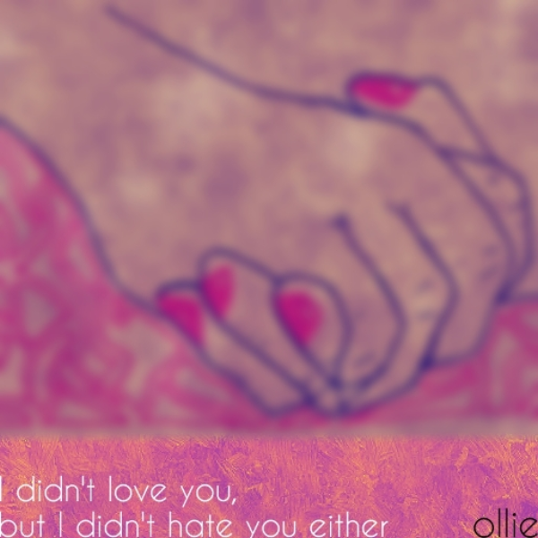 I didn't love you, but I didn't hate you either
