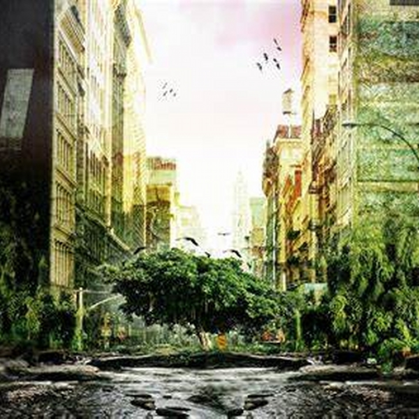 Jungle Street