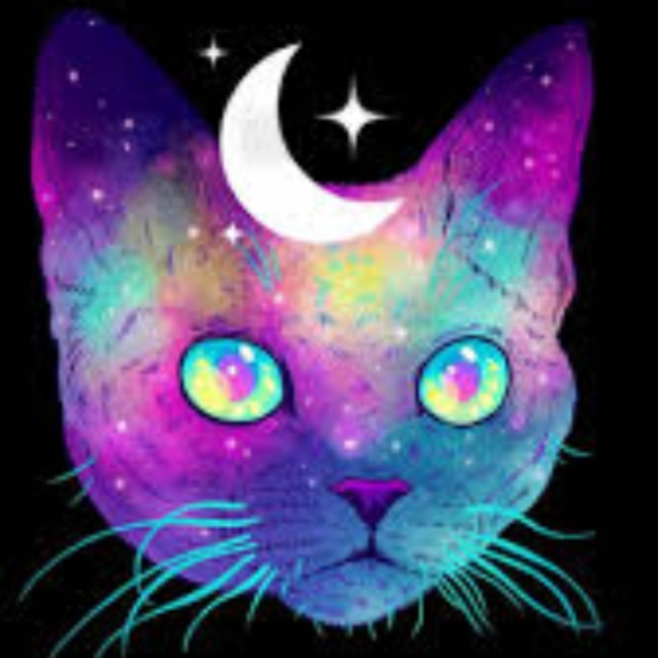 SPACE CATS By: NoKo Johnson X Christian_Chrom