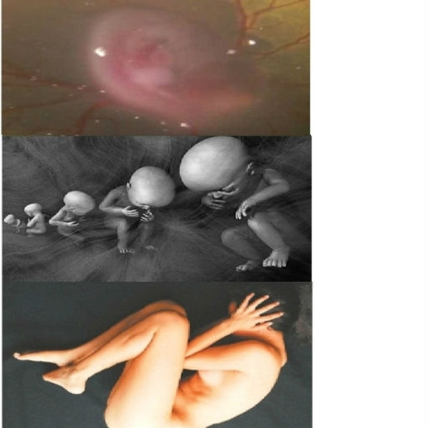 human embryo: the heart of planet earth