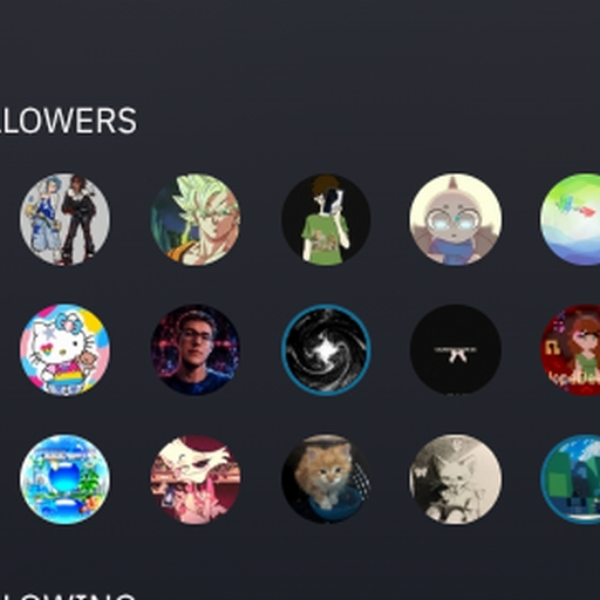 20 followers