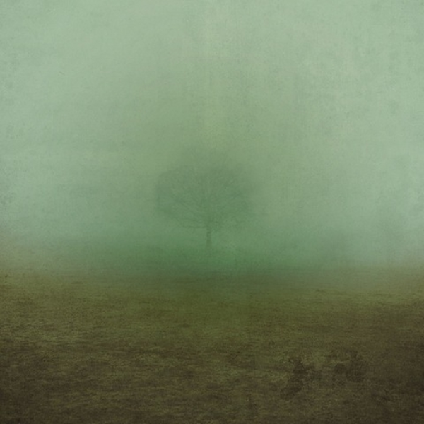 cant see