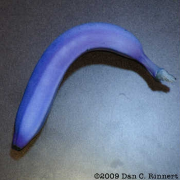 Hybrid Fruit