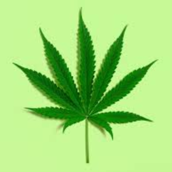Marijuana