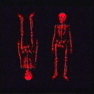 [abstract.perception]