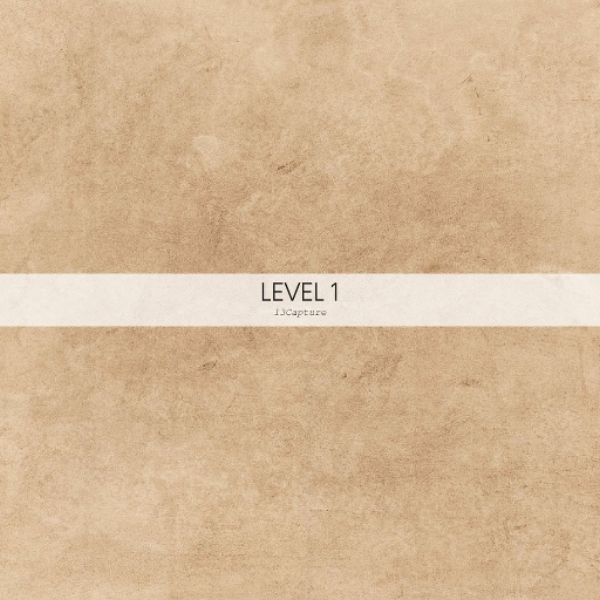 Level 1