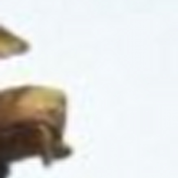 random stuff2