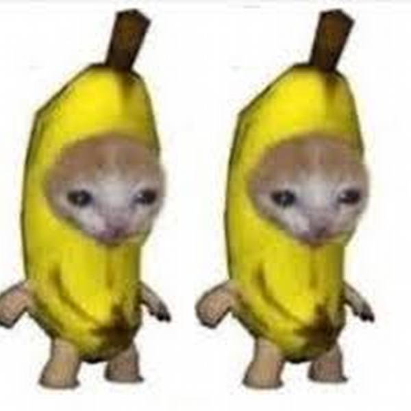 Idfk