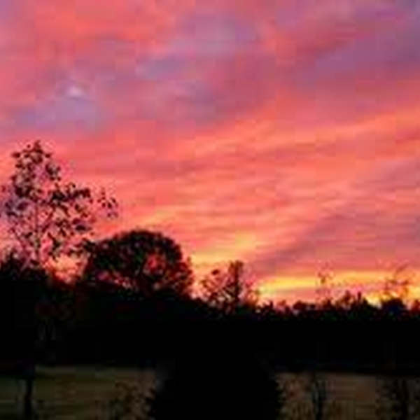 calm texas morning