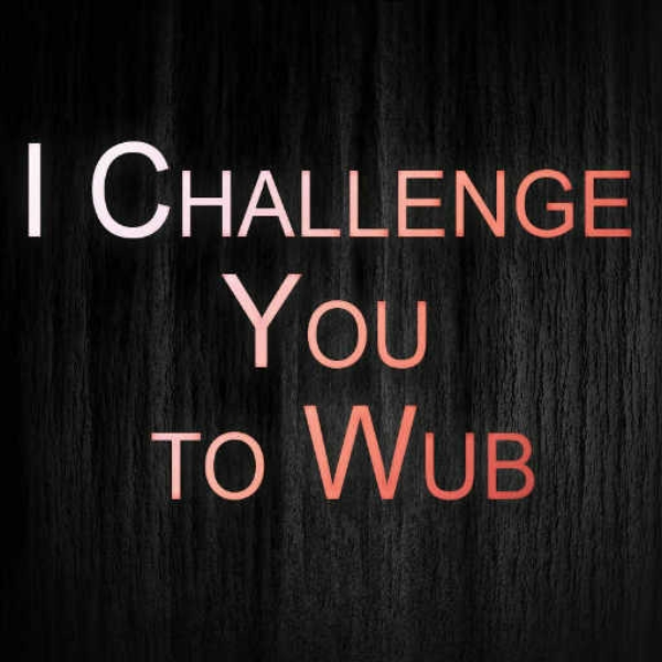 I Challenge You to Wub