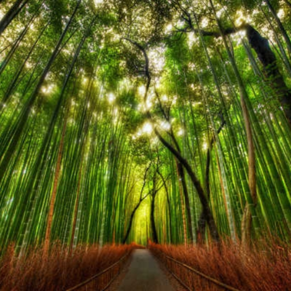 I found my way