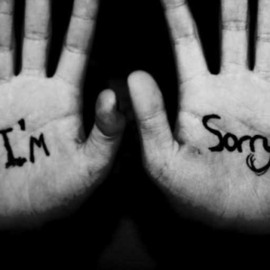 I'm Sorry