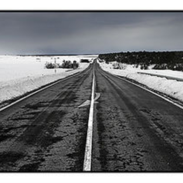 Ice Storm (mix alber)