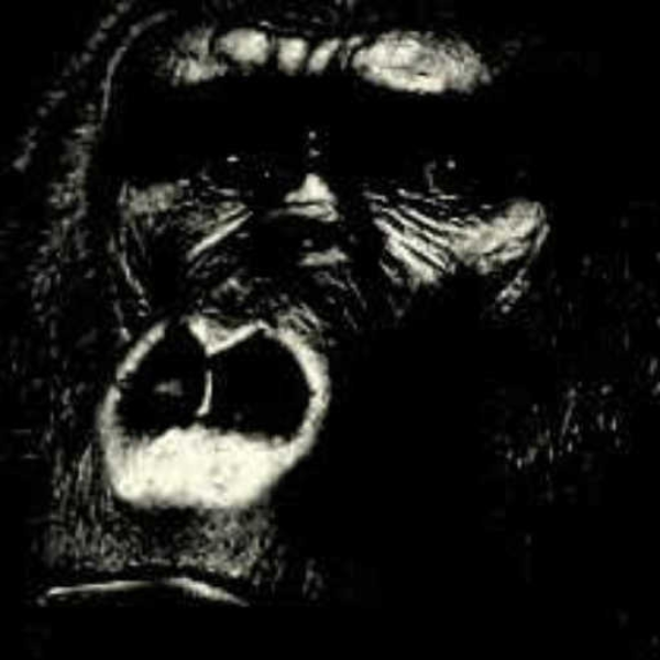 If King Kong would still be alive