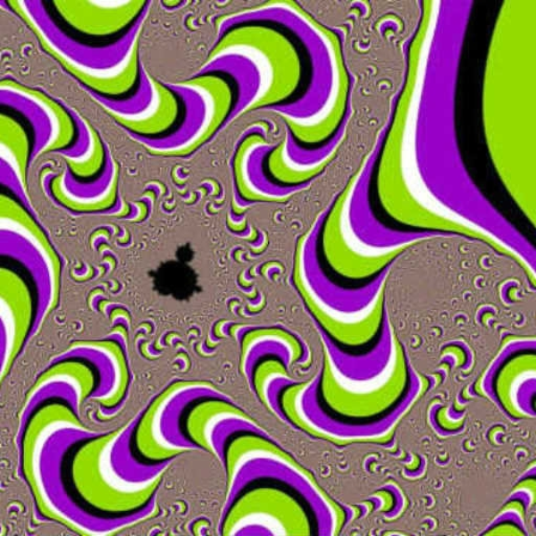 illusions
