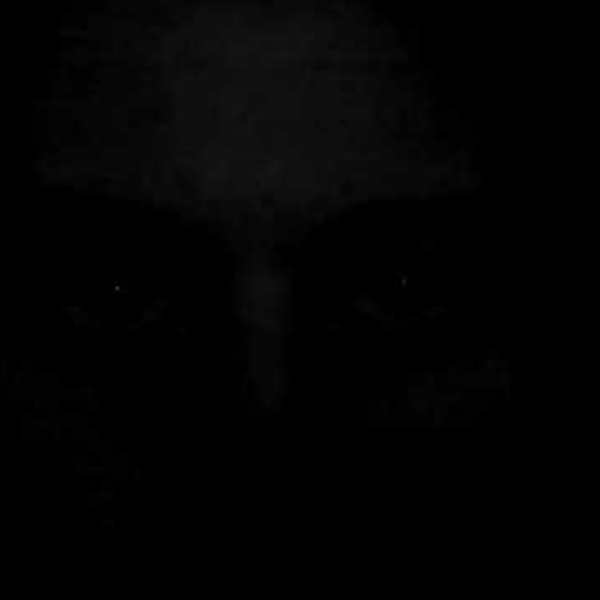 Hidden in the dark waiting