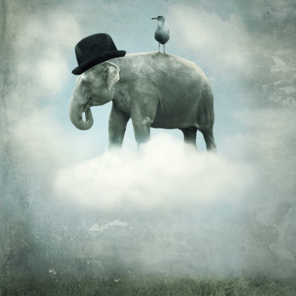 Imagination
