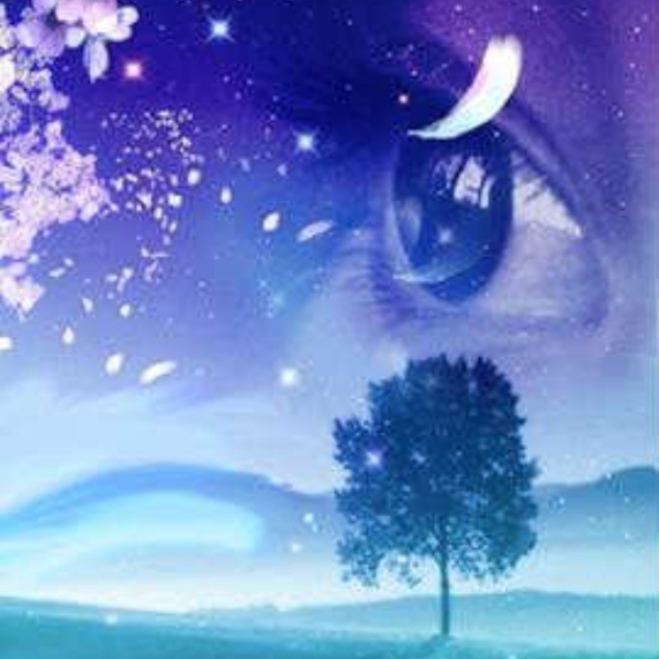 imagine your dreamer dj seadreamer