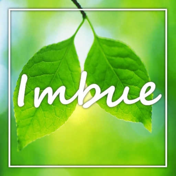 Imbue (100)