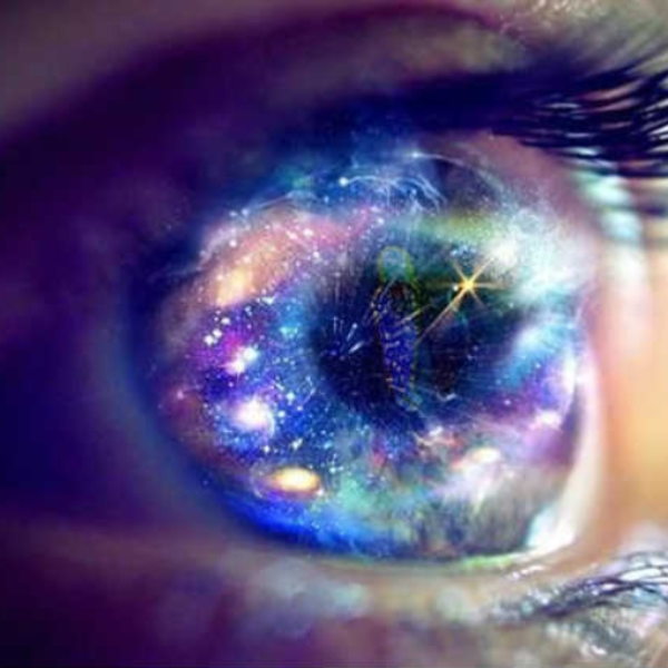 in-sight