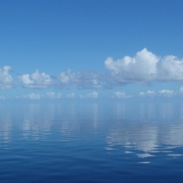 In Calm