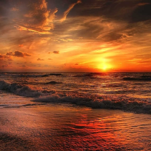 In The Fading Light