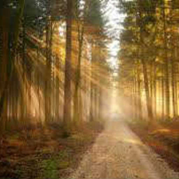 In the light of a thousand suns