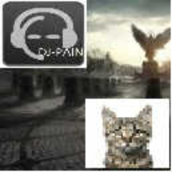 Incubus DJ-PAIN bootleg