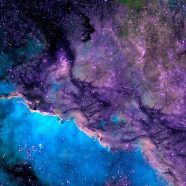 indigo (demo)
