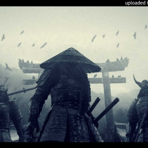 IndigoWarrior