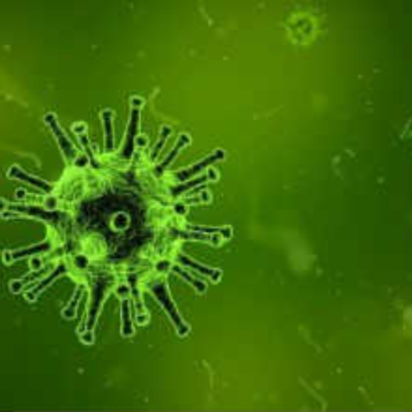 infected