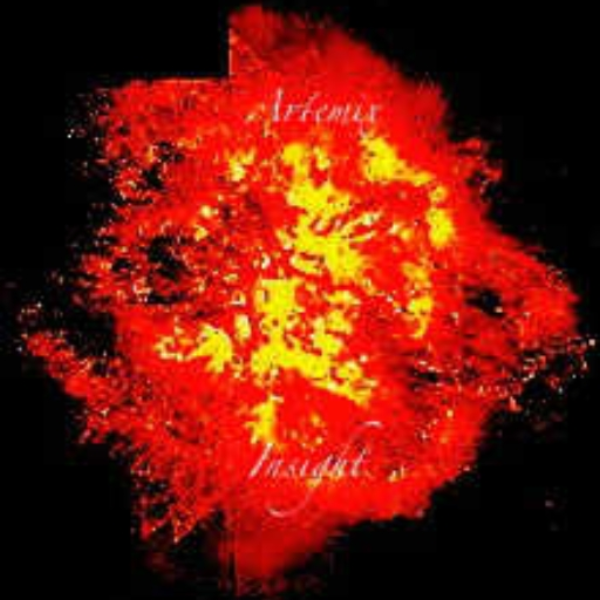 Insight